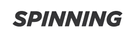 Logo Spinning